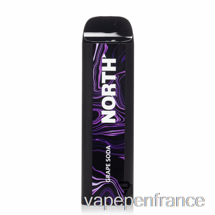 Stylo Vape Jetable Au Soda Au Raisin North 5000